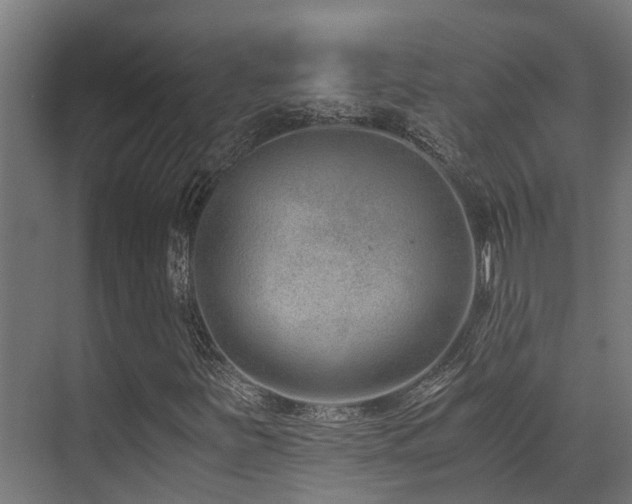 X0000071351251200606231155