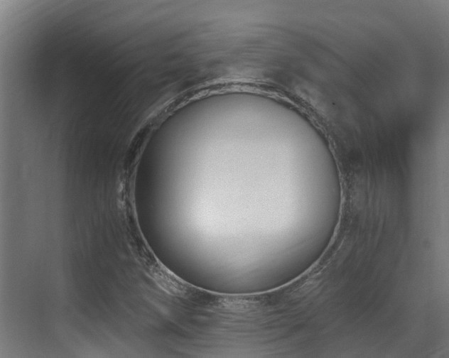 X0000071351258200606231155