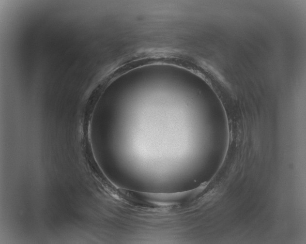 X0000071351261200606231155