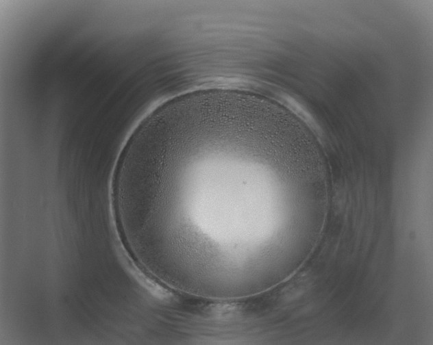 X0000071351283200606231154