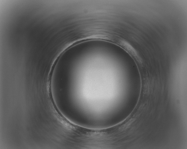 X0000071351284200606231154