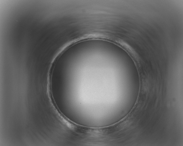X0000071351286200606231154