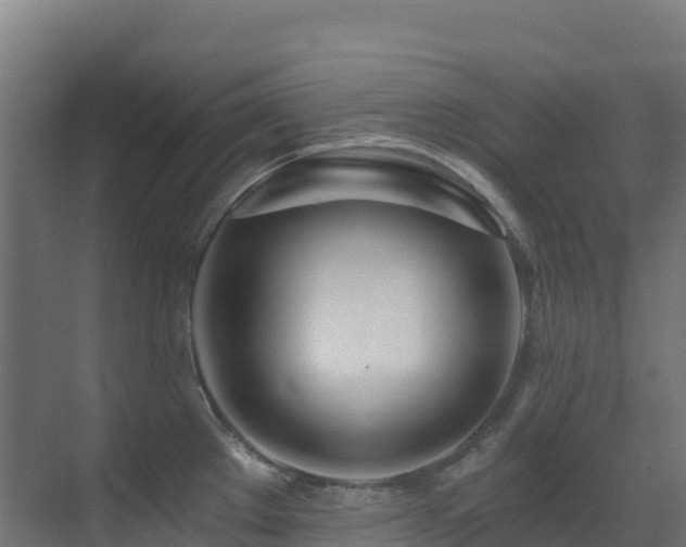 X0000071351289200606231154