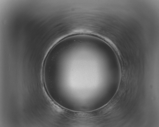 X0000071351295200606231154
