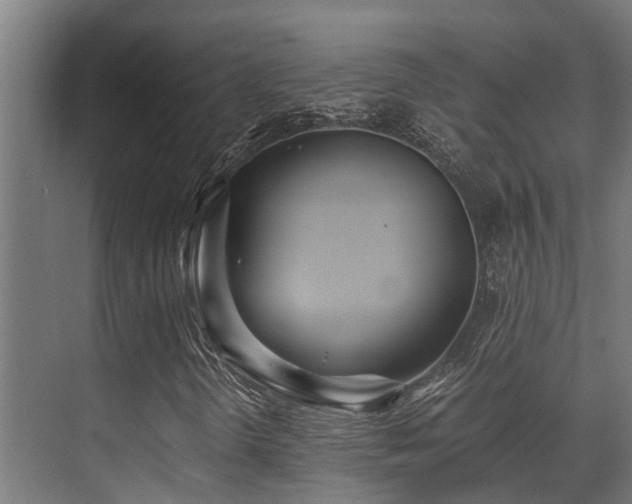 X0000071351298200606231153