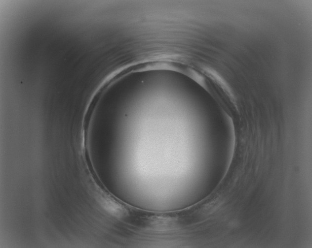 X0000071351324200606231154