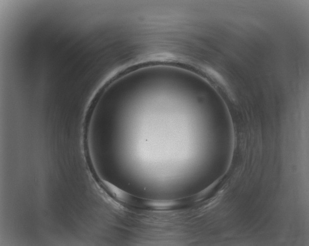 X0000071351326200606231154