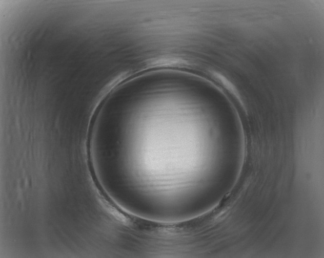 X0000071351330200606231154