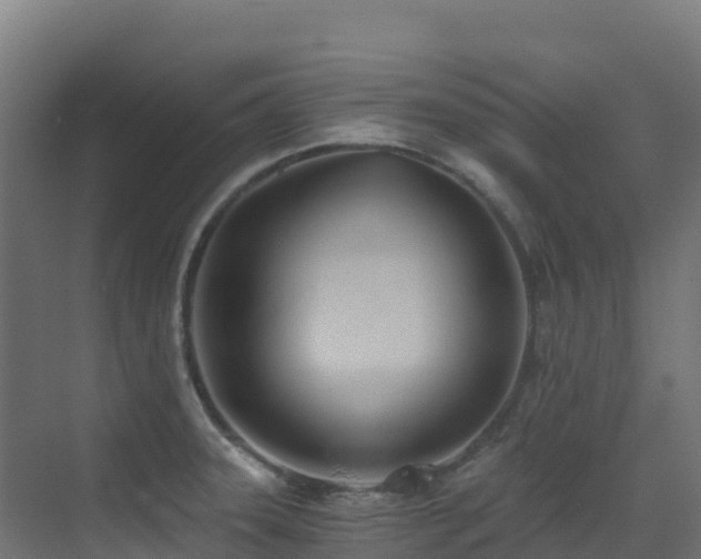 X0000071351331200606231154
