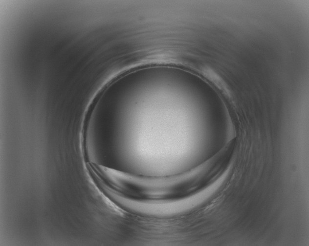 X0000071351334200606231154