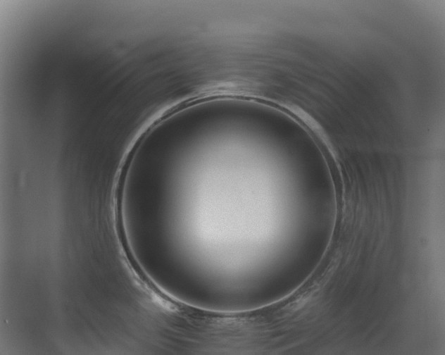 X0000071351341200606231154