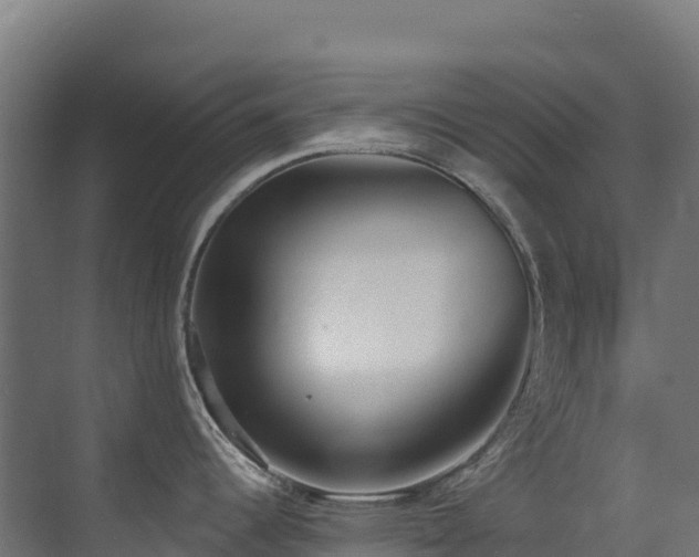 X0000071351344200606231154