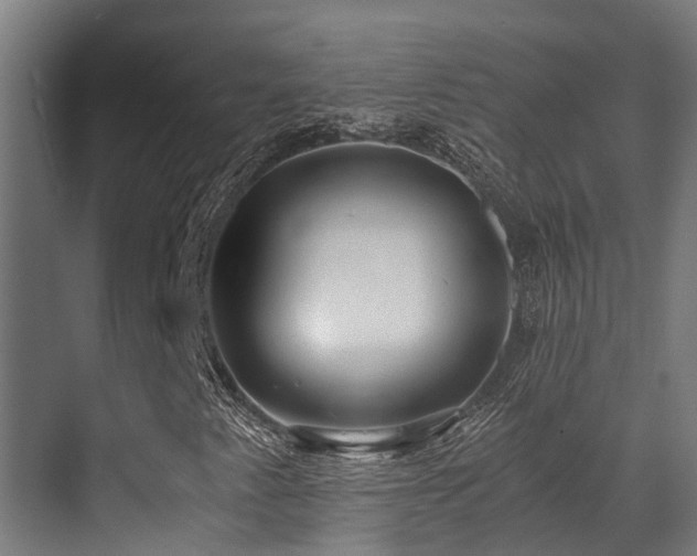 X0000071351345200606231153