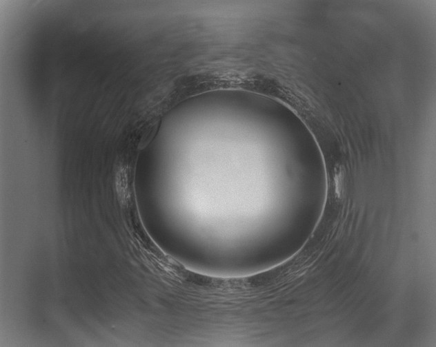 X0000071351347200606231153