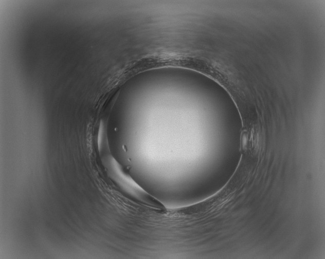 X0000071351348200606231153