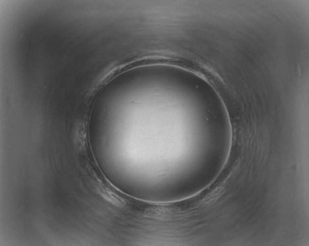 X0000071351355200606231153