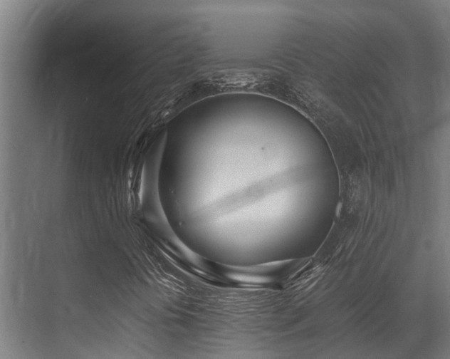 X0000071351394200606231152
