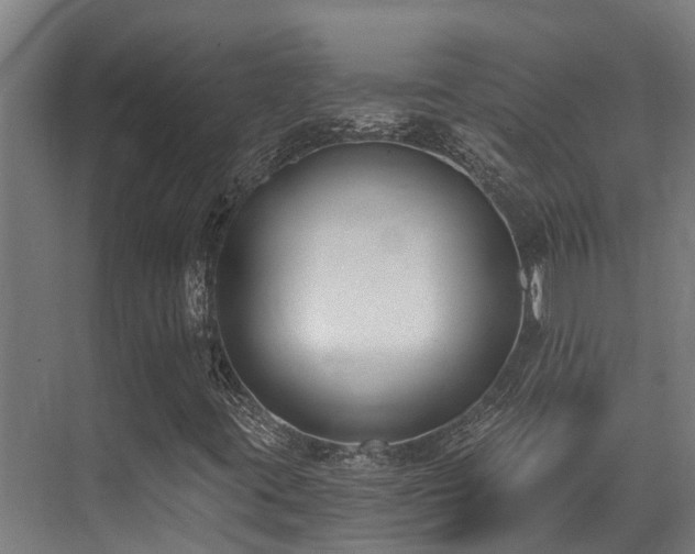 X0000071351395200606231152