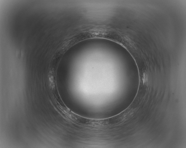 X0000071351396200606231152