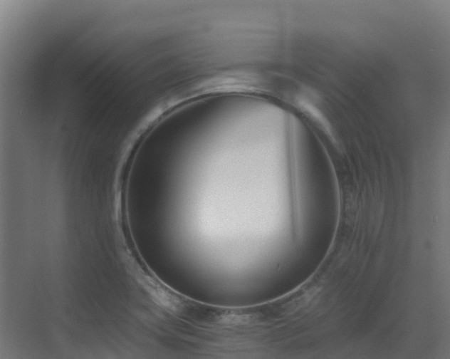 X0000071351419200606231152