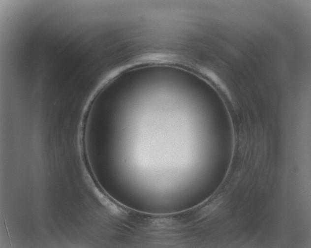X0000071351421200606231152