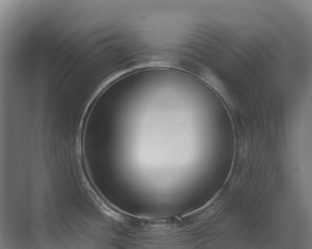 X0000071351436200606231152