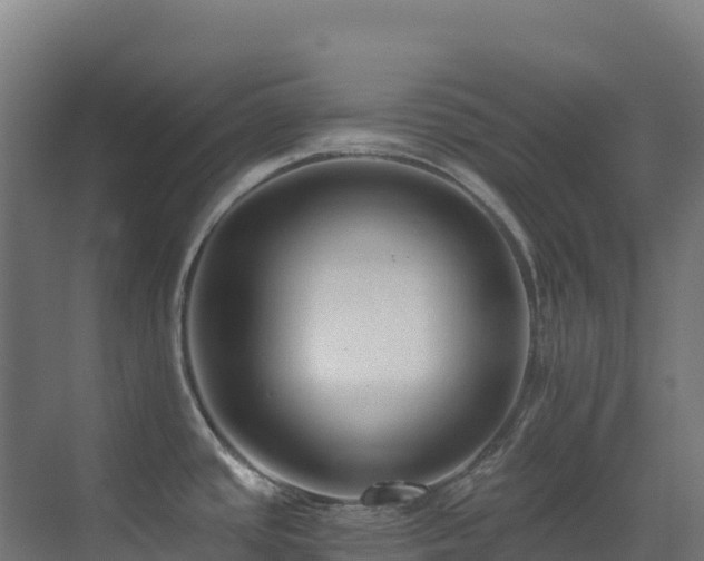 X0000071351437200606231152
