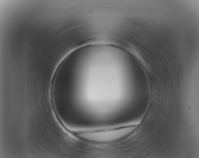 X0000071351484200606231151