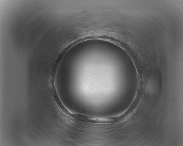 X0000071351497200606231150