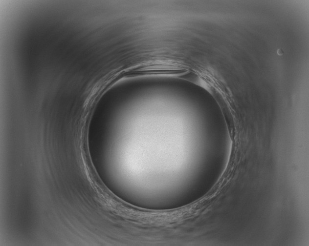 X0000071350001200606261354