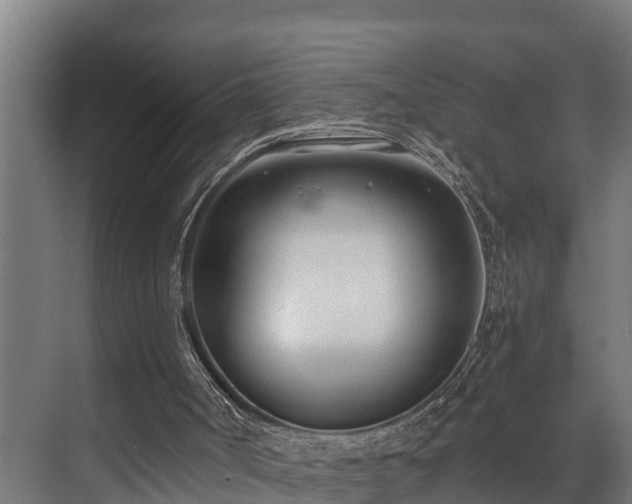 X0000071350002200606261354