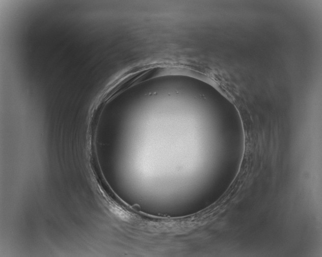 X0000071350005200606261354