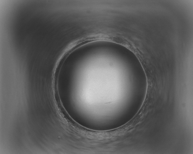 X0000071350006200606261354