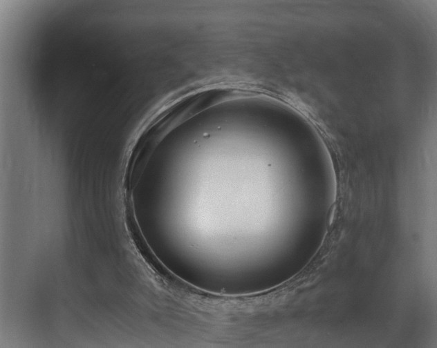 X0000071350007200606261354