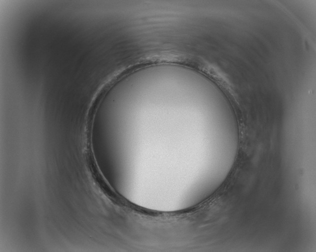 X0000071350012200606261353