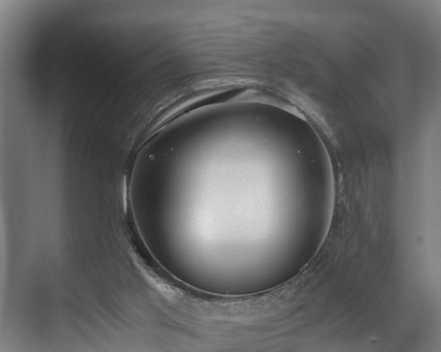 X0000071350013200606261353