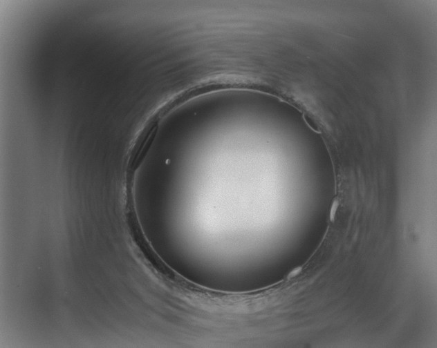 X0000071350015200606261353