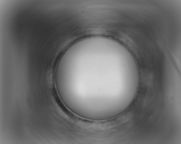 X0000071350016200606261353