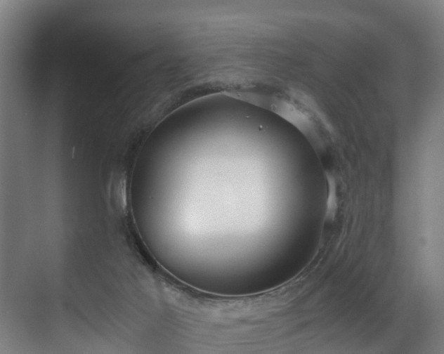 X0000071350021200606261353