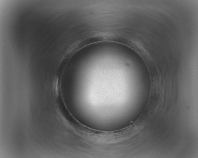 X0000071350024200606261353