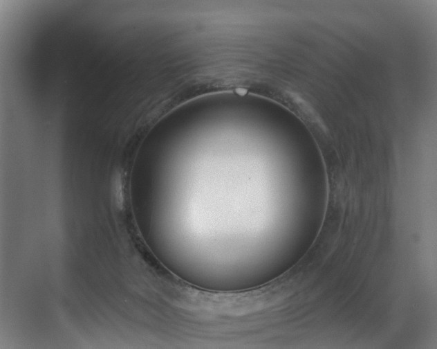 X0000071350026200606261353