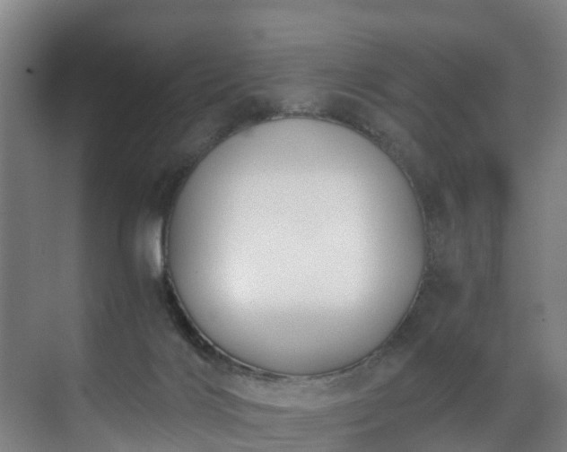 X0000071350028200606261353