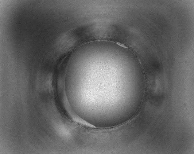 X0000071350029200606261353