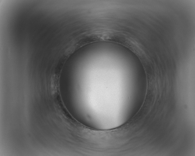 X0000071350030200606261353