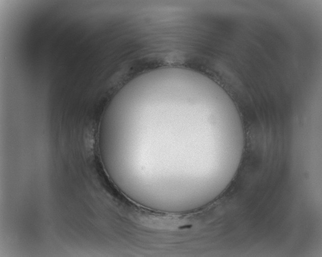 X0000071350032200606261353