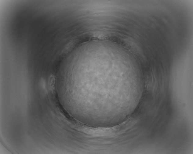 X0000071350036200606261353