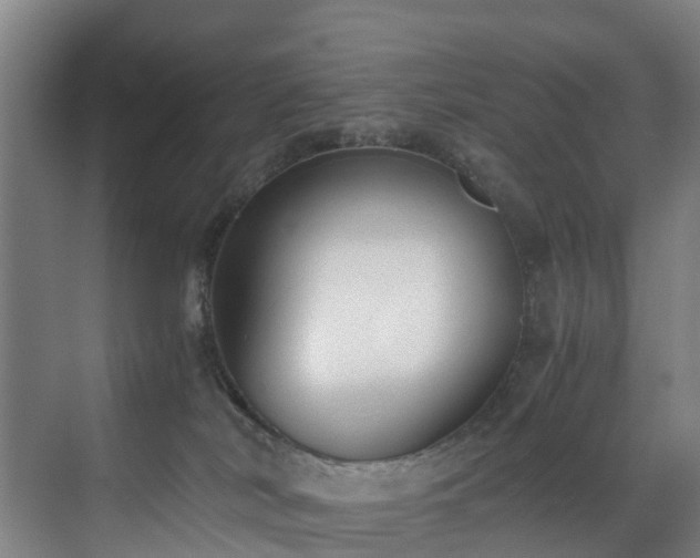 X0000071350038200606261353