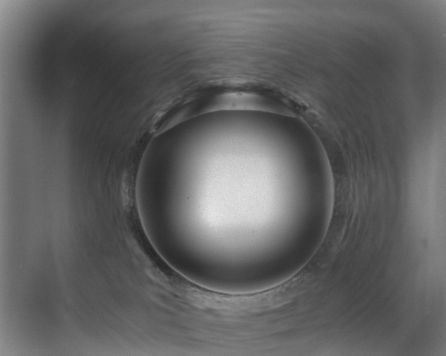 X0000071350039200606261353