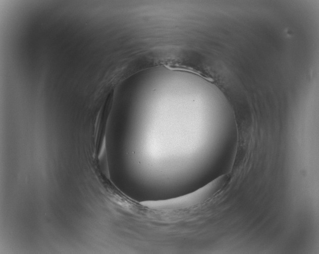 X0000071350041200606261353