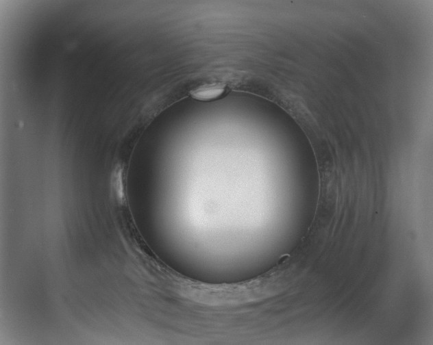 X0000071350042200606261353